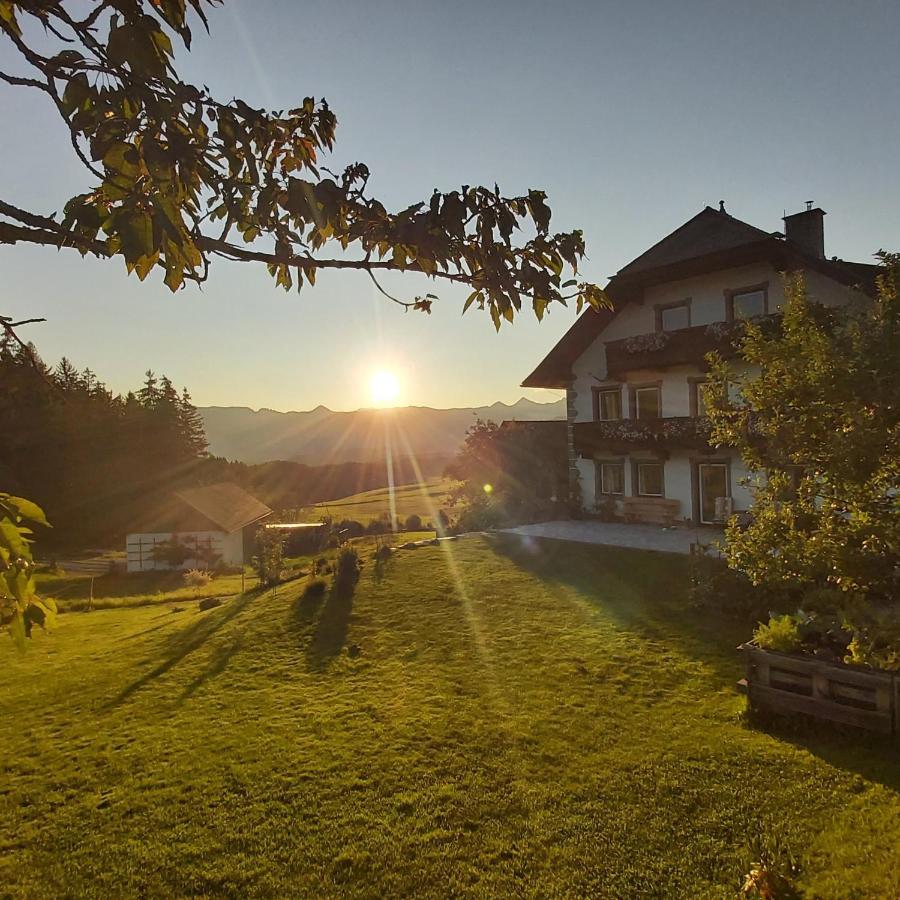 Schweizer Hof Apartamento Tamsweg Exterior foto